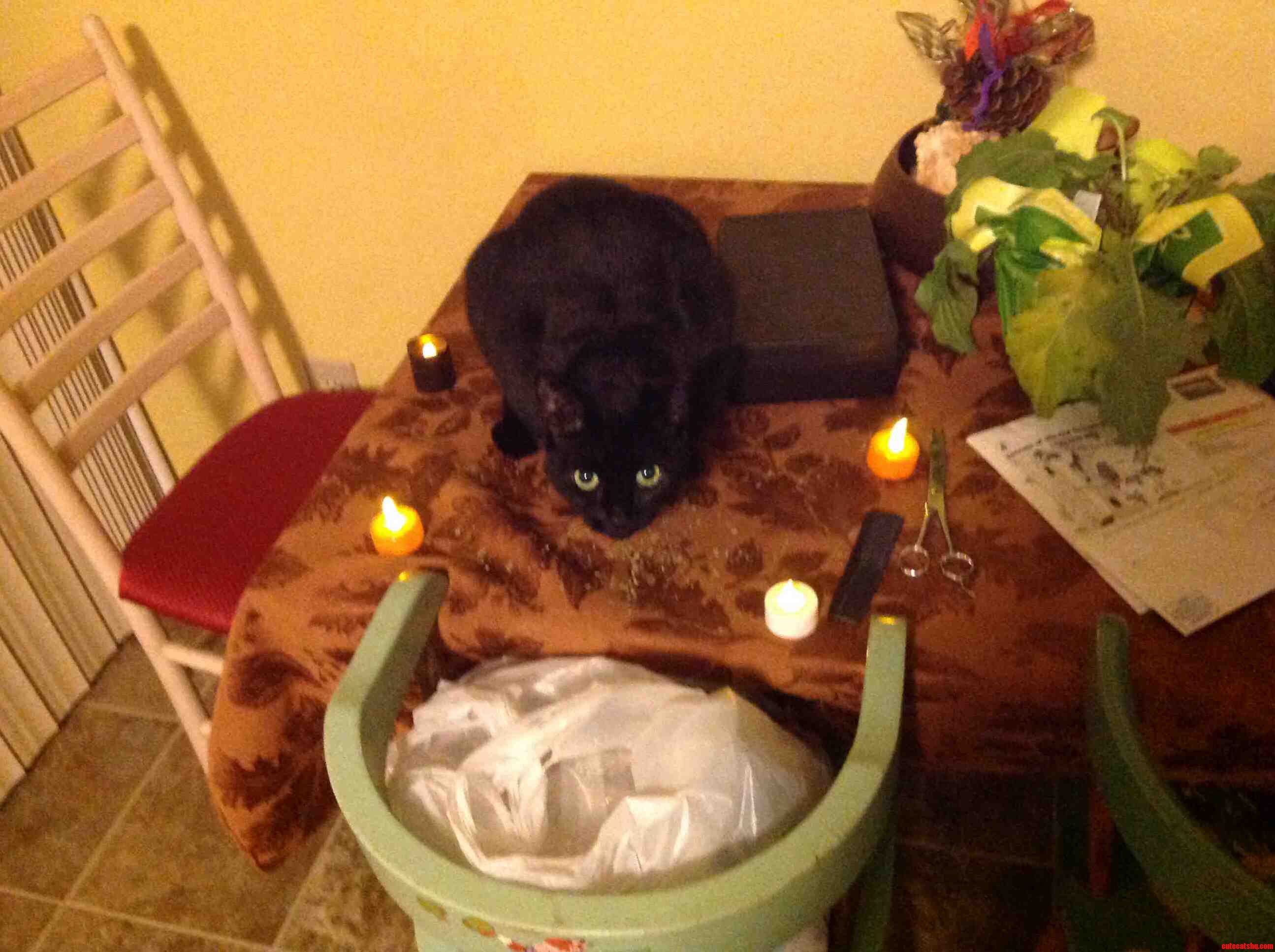 Candlelit Dinner