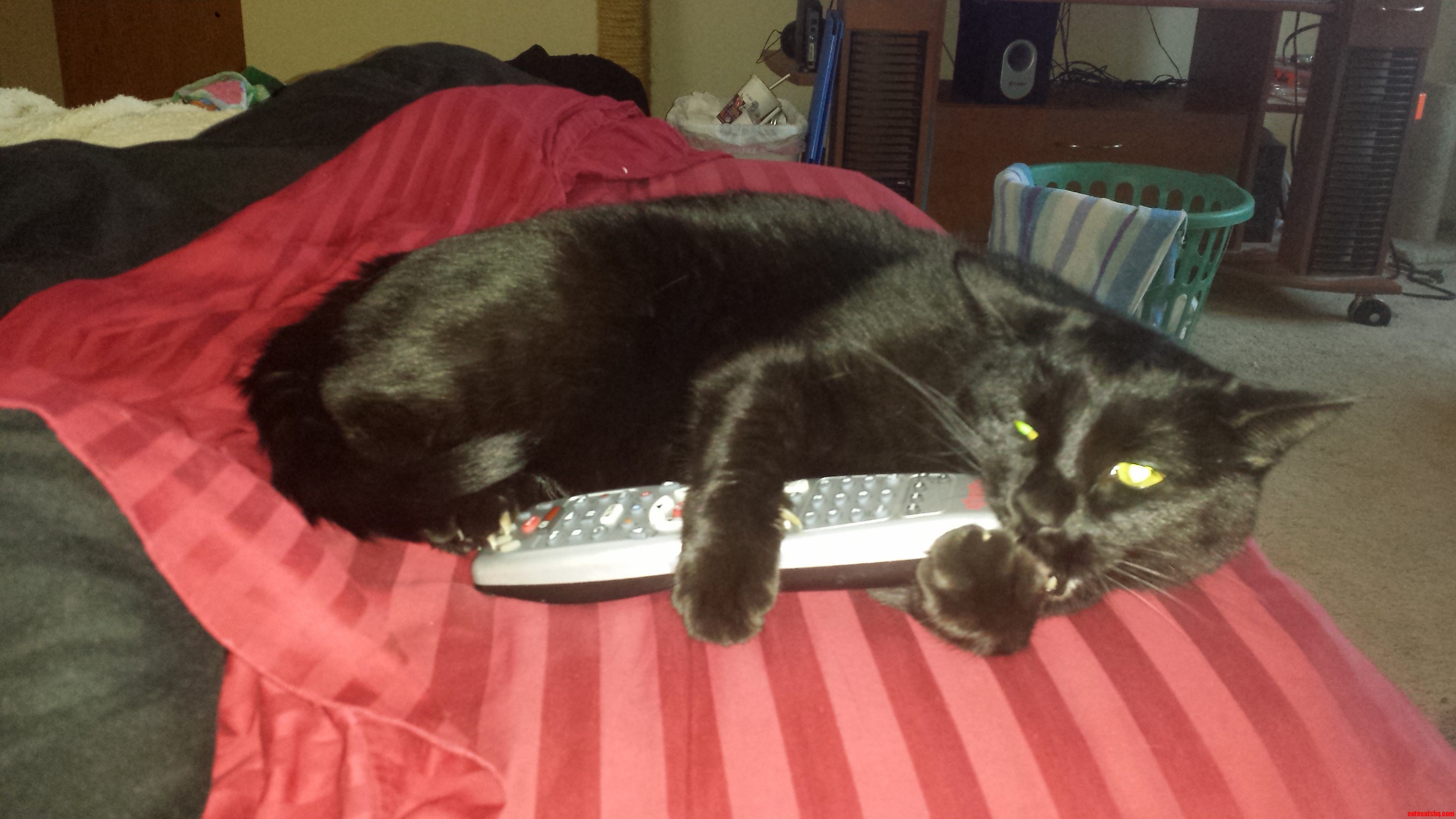 Carbon Vs His Mortal Enemy