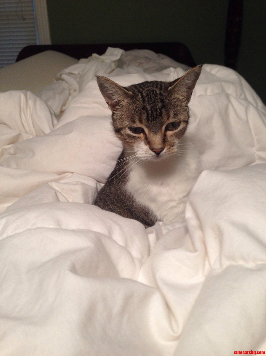 Case of the Mondays.