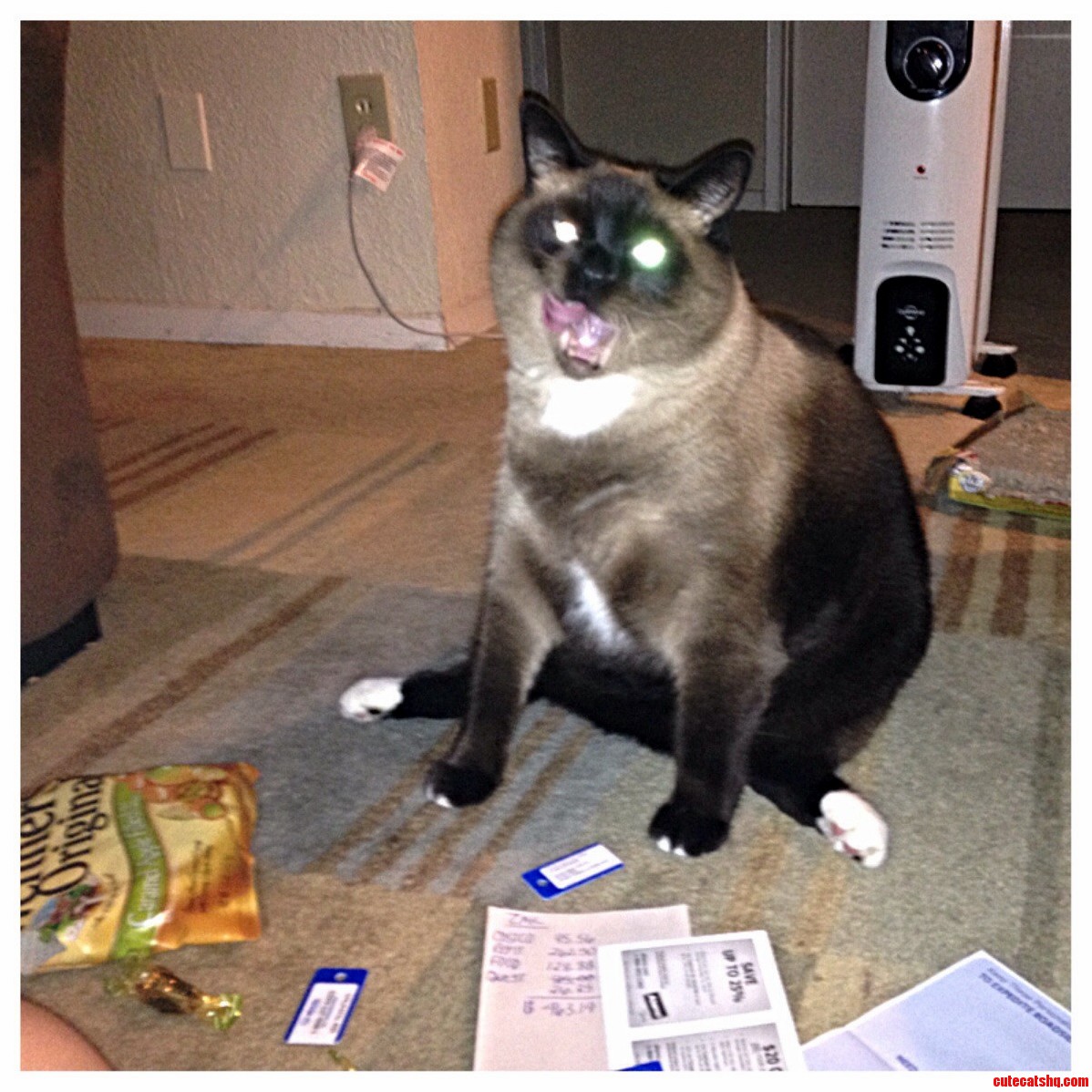 Caught Him Looking Not So Graceful...