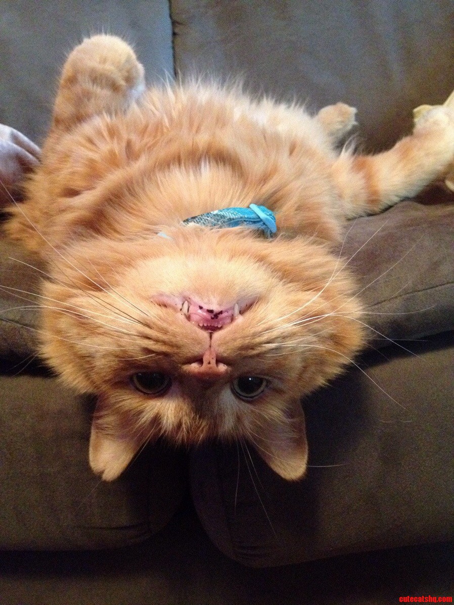 Chillaxin
