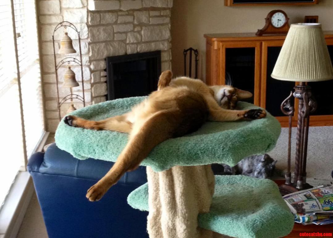 Chilling Out