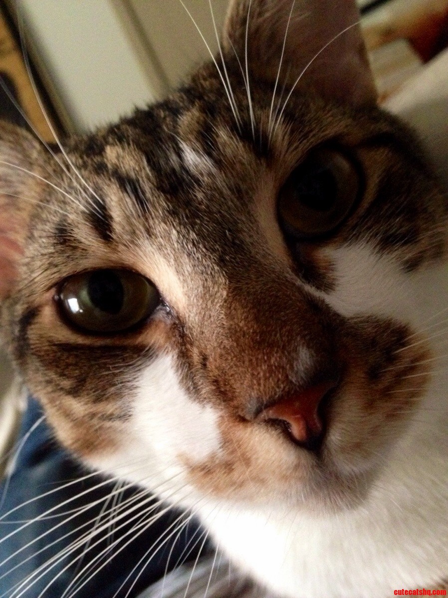 Close Up of His Face