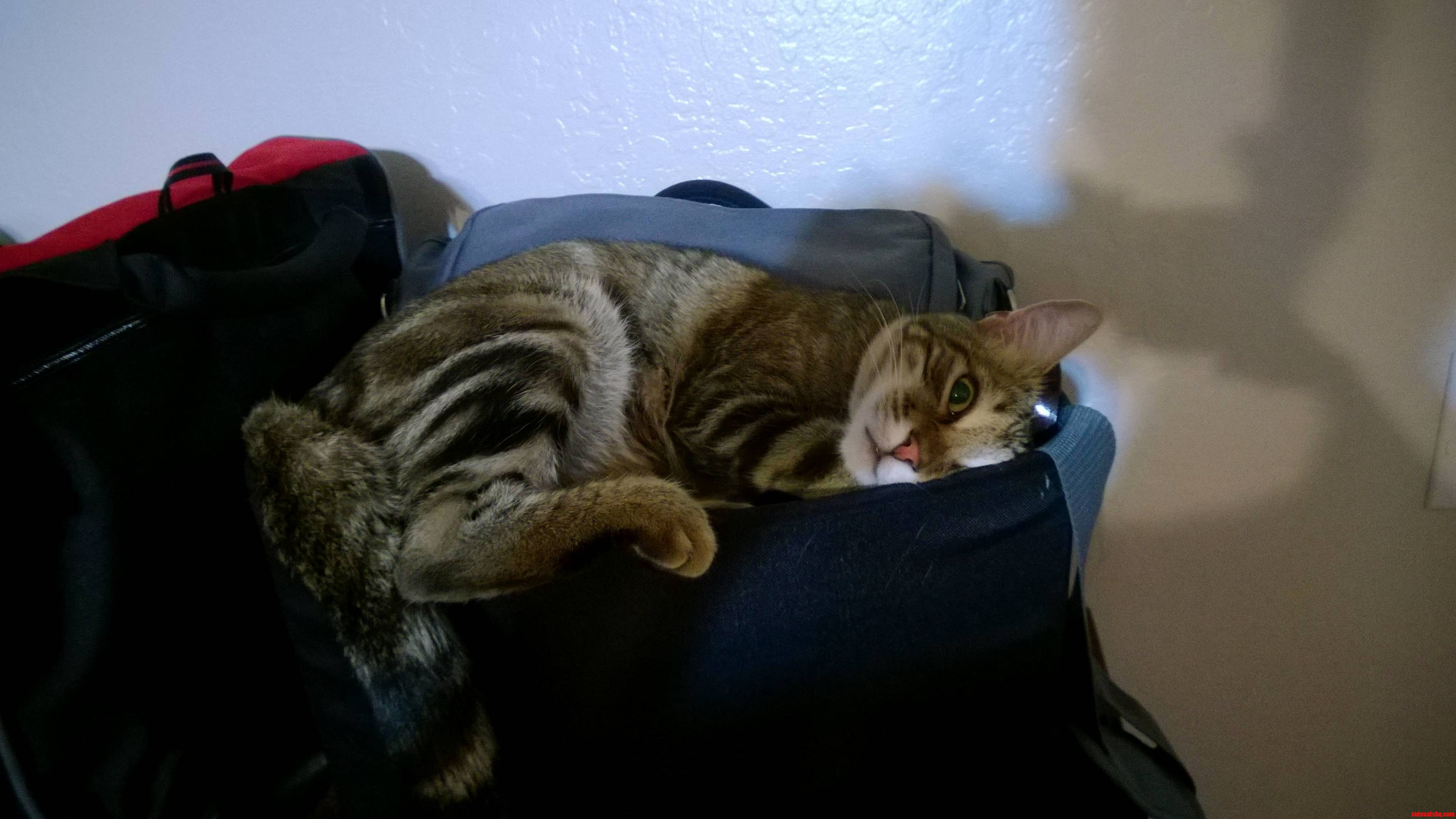 Comfort Is Relative.