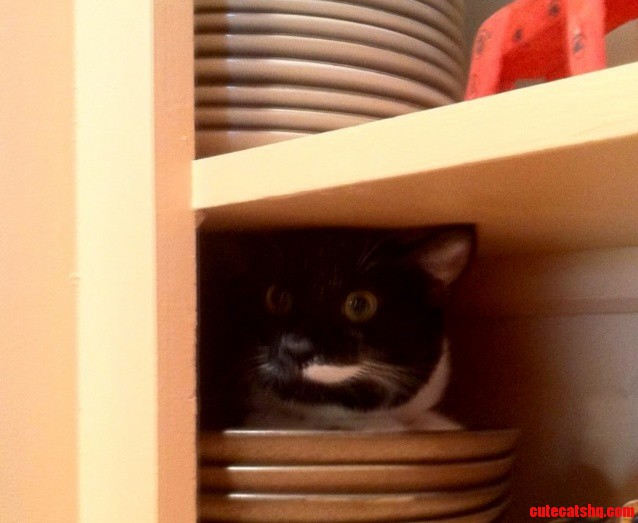 Couldnt Find Andy When All of a Sudden...
