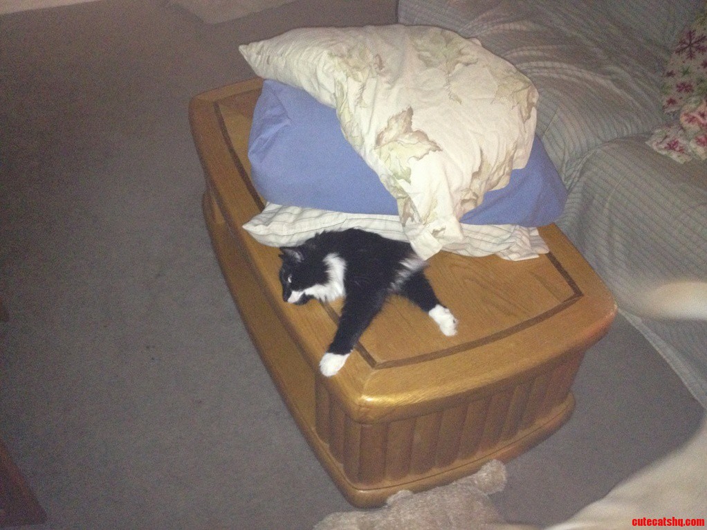 Crushed by Pillows