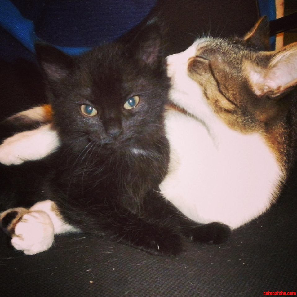 Cuddle Time