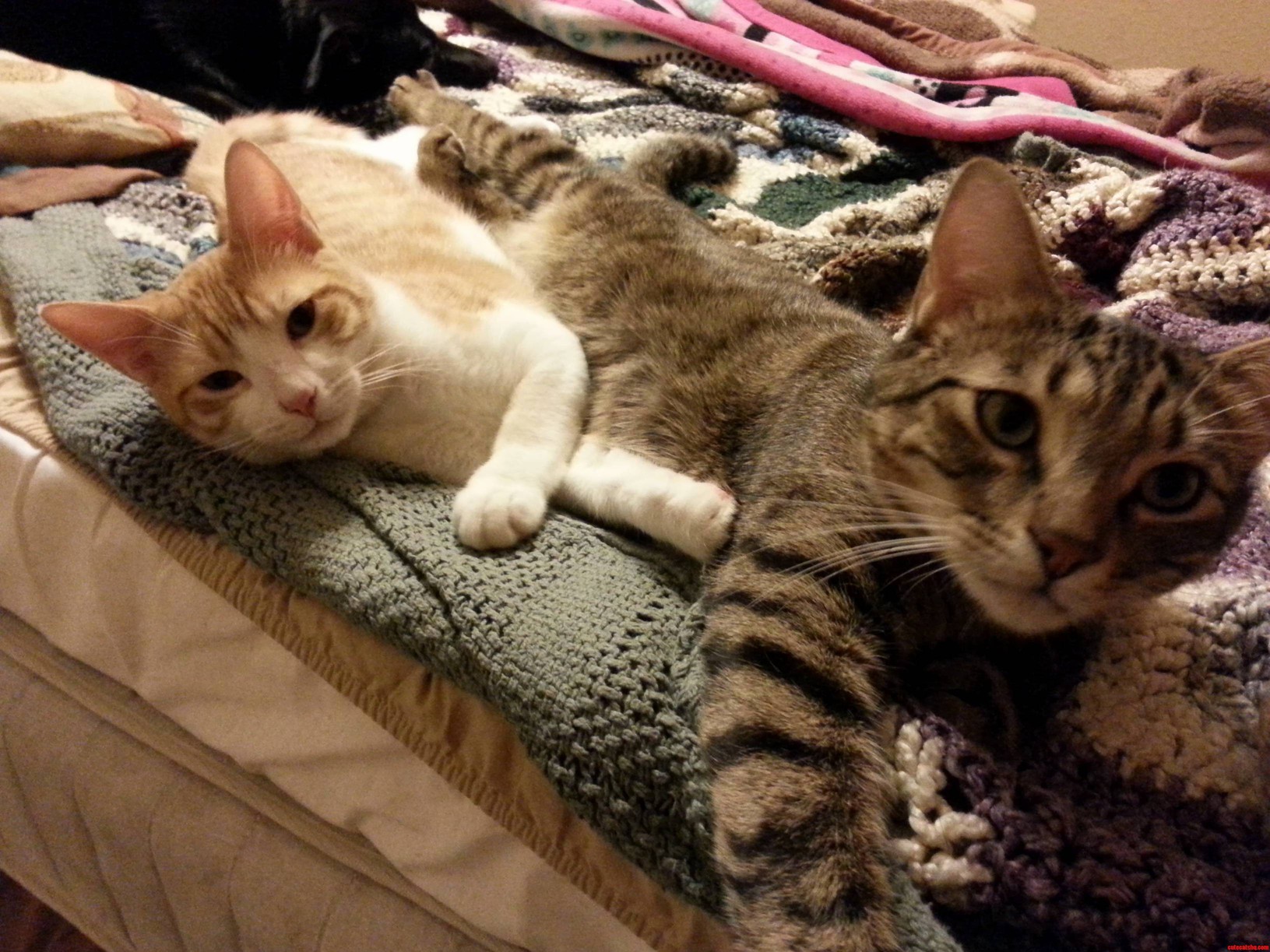 Cuddle Time