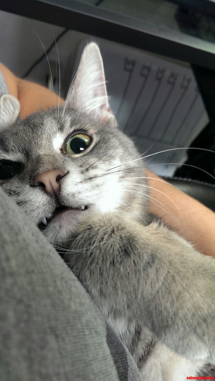 Da Fuq You Lookin at