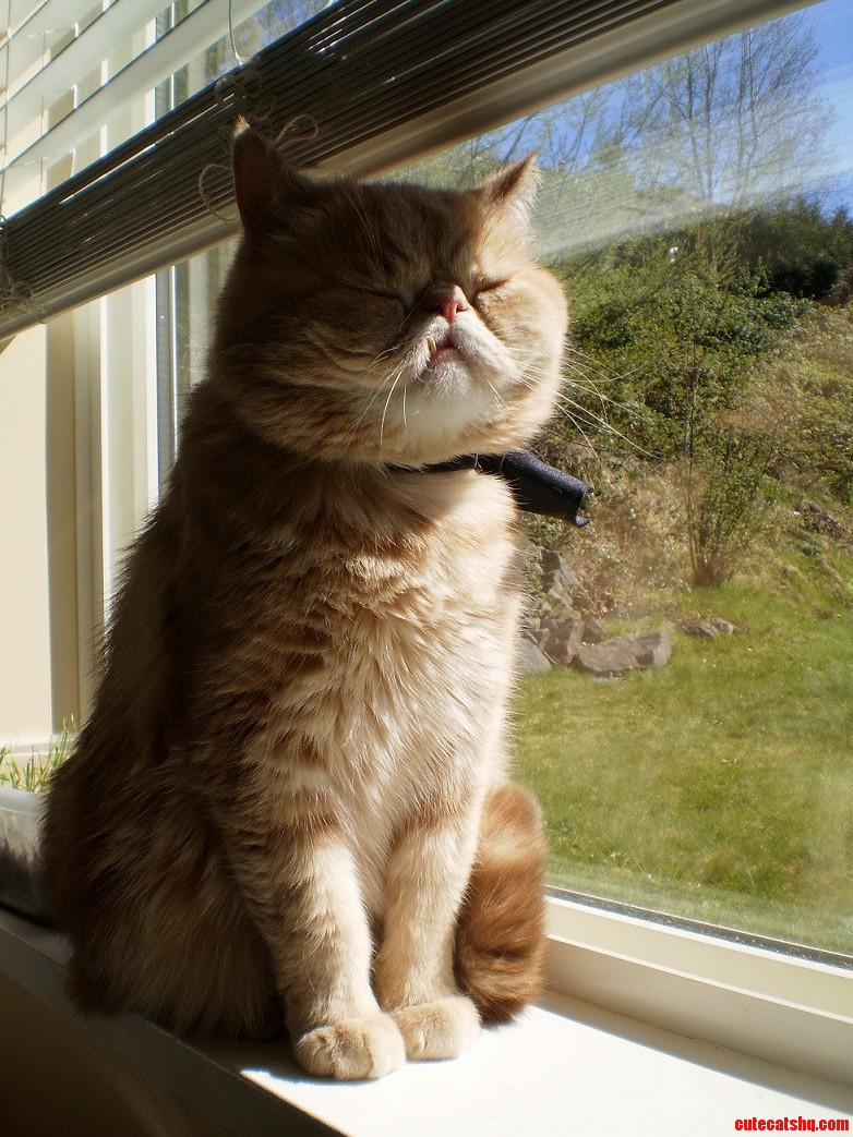 Dat Sunbeam