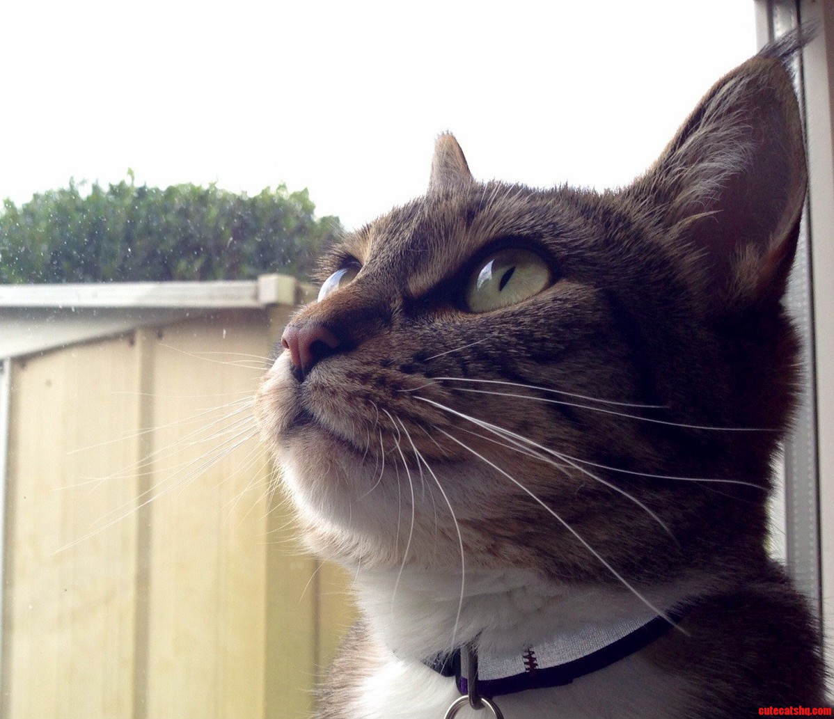 Day Dreaming About Outside