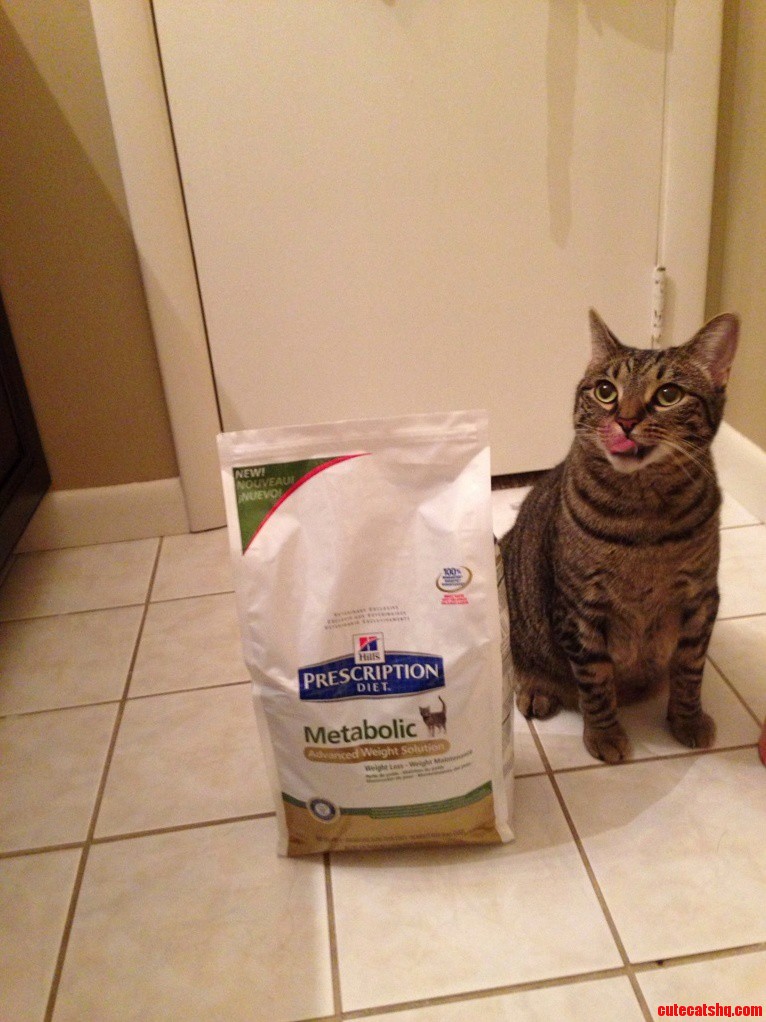 Delilah Loves Her New Diet Food