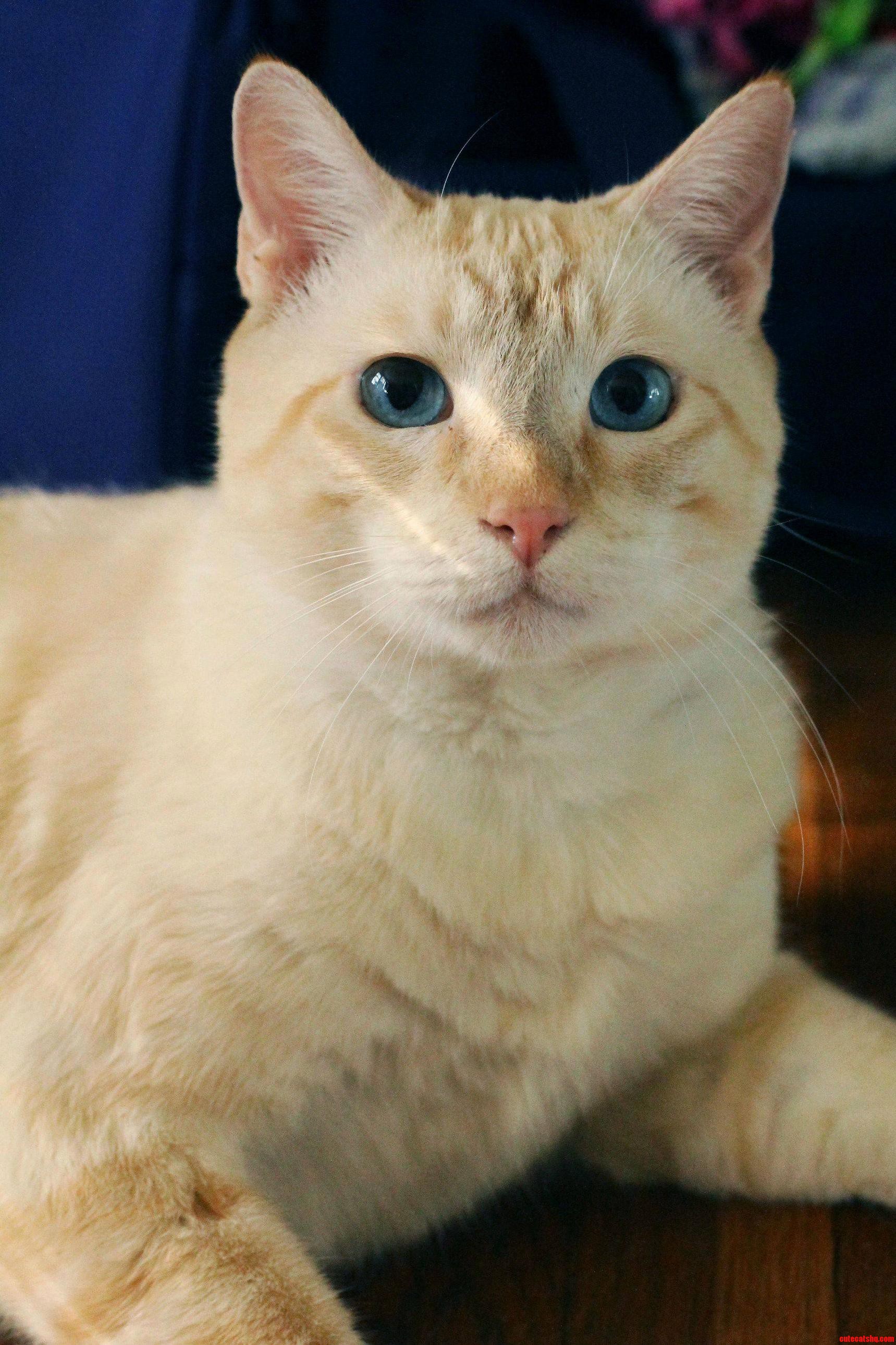 Dem Eyes They Get Me Every Time.