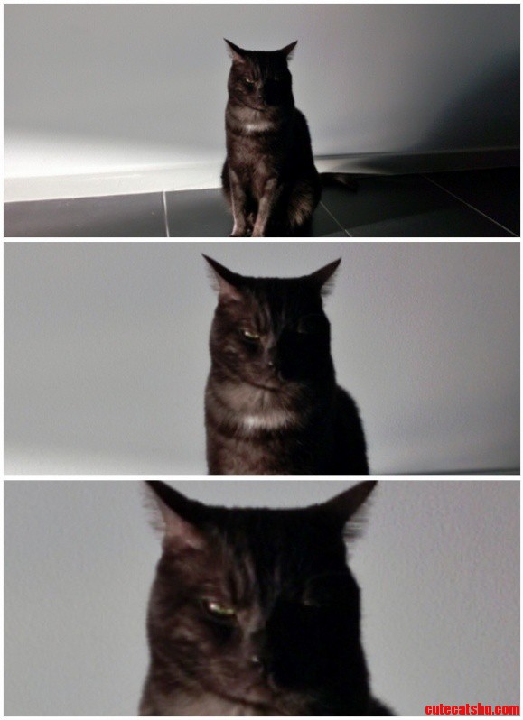 Dexter Isnt Looking to Impressed.