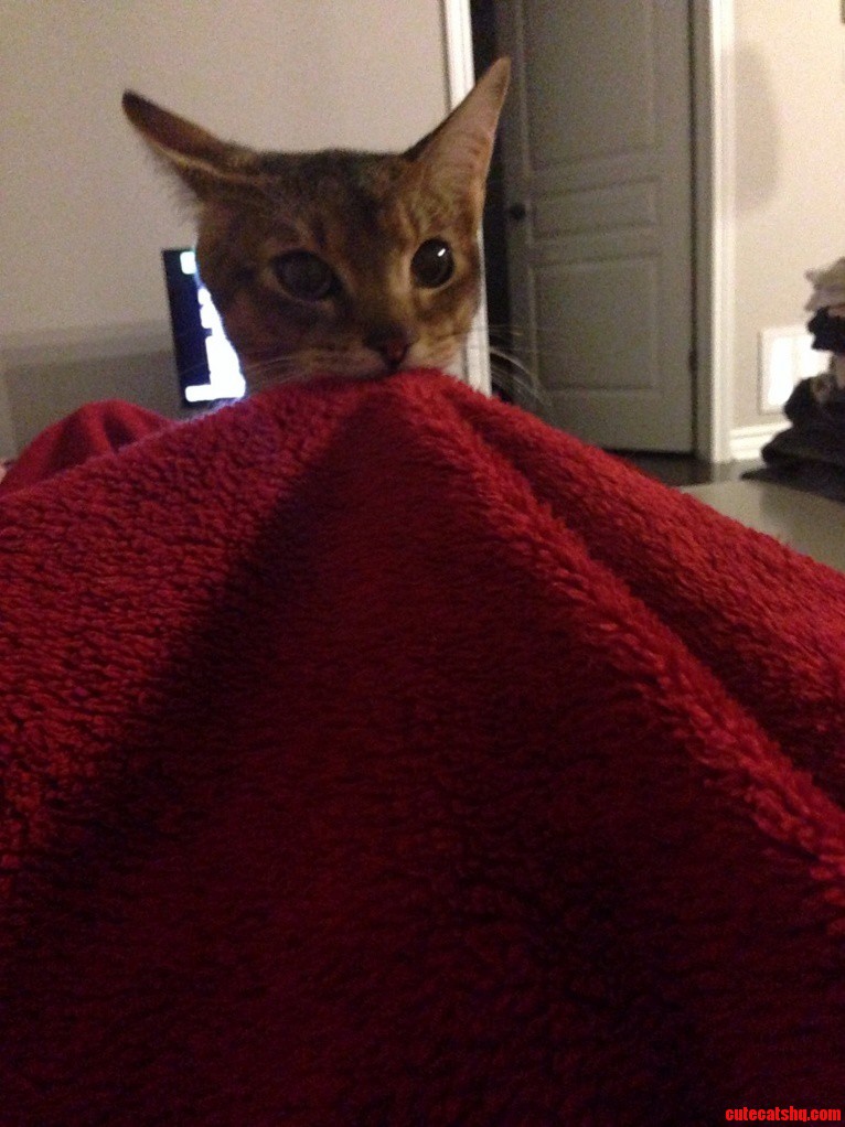 Dis Muh Blenket