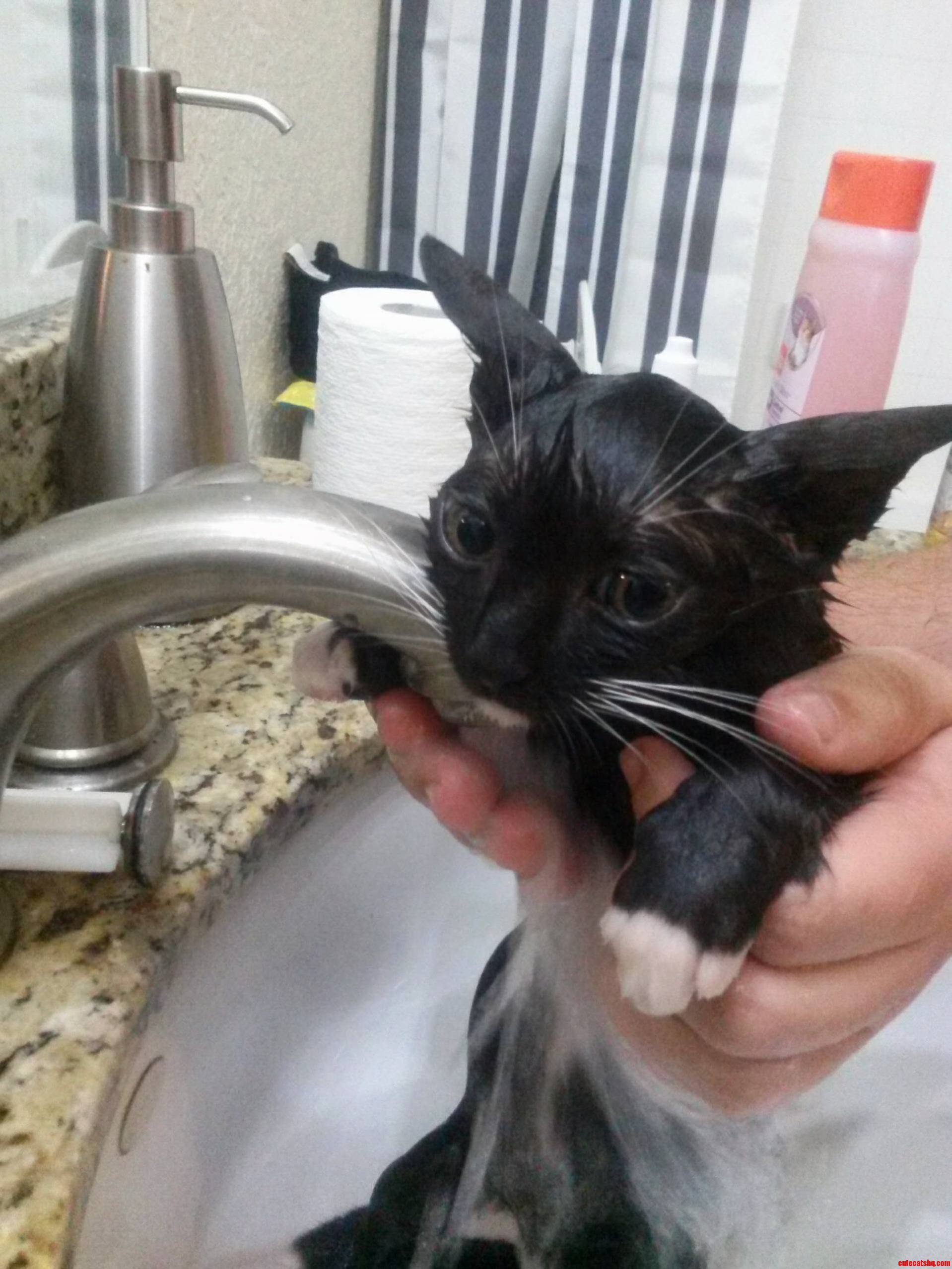 Djangos Second Bath Wasnt So Bad 3