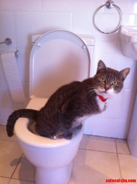 Do You Mind