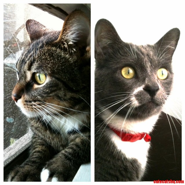 Donnie and Walter. Handsome Men.