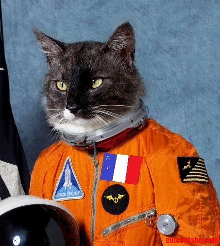 Dont Know If It Belongs Here But... Astronaut Kitty
