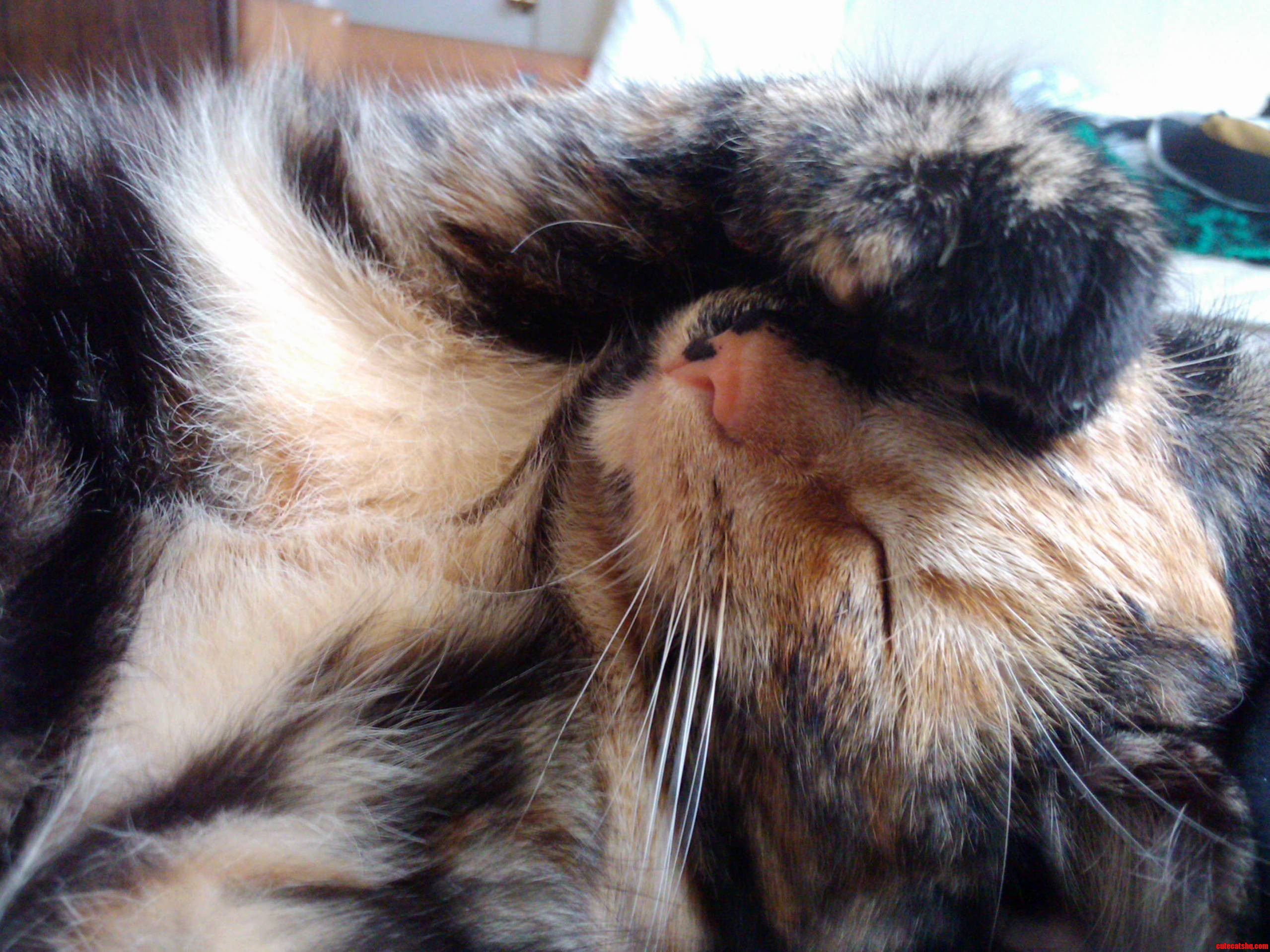 Dont Look at Me.