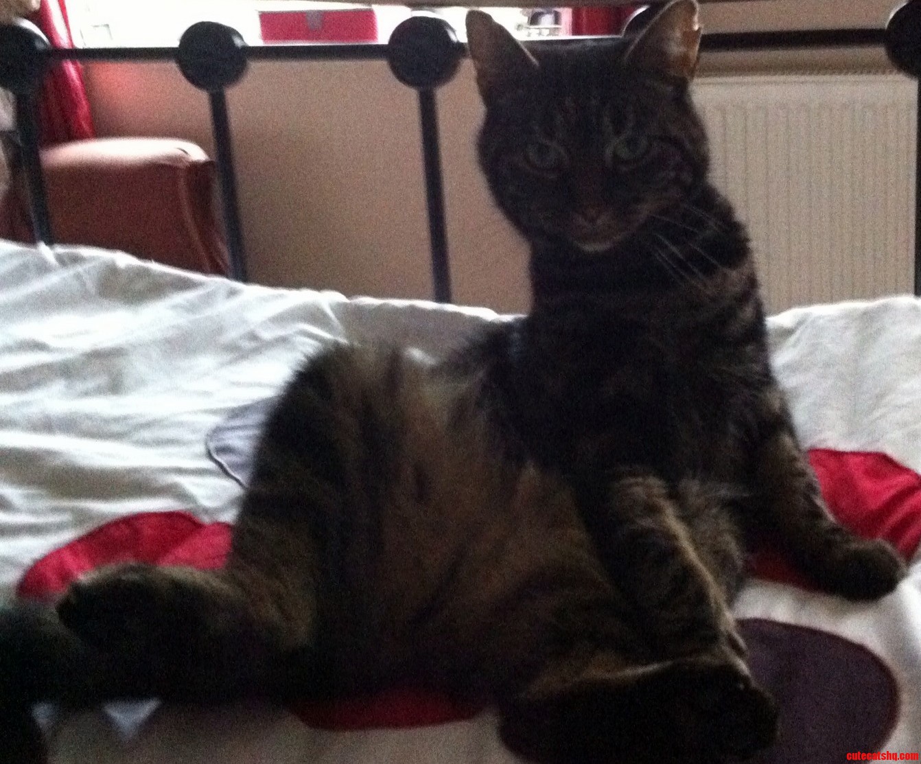 Draw Me Like One of Your French Girls Jack.