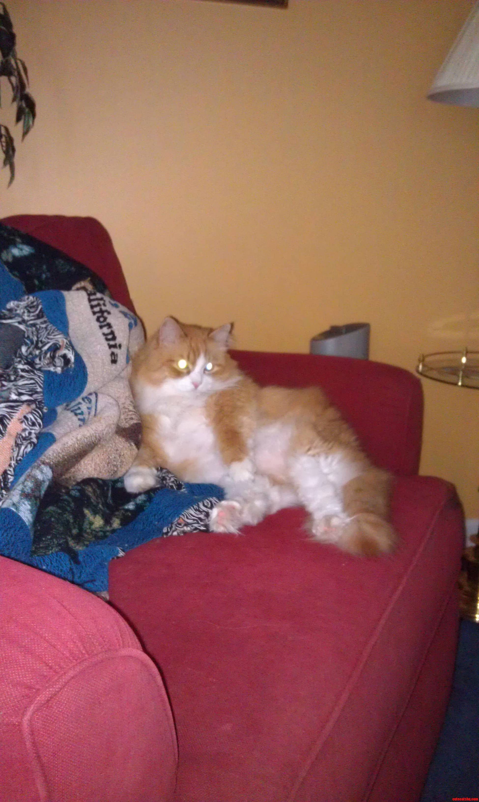 Draw Me Like One of Your French Girls