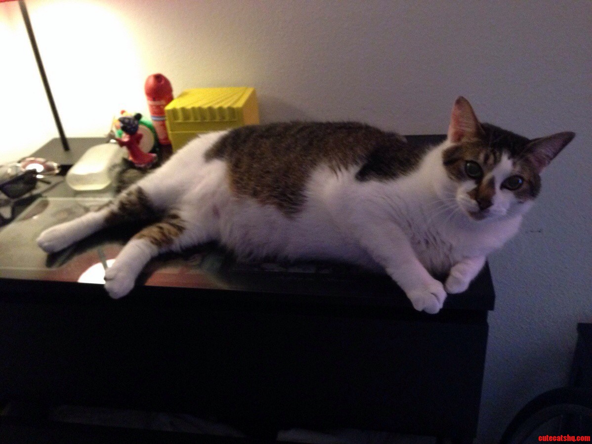 Draw Me Like One of Your French Girls