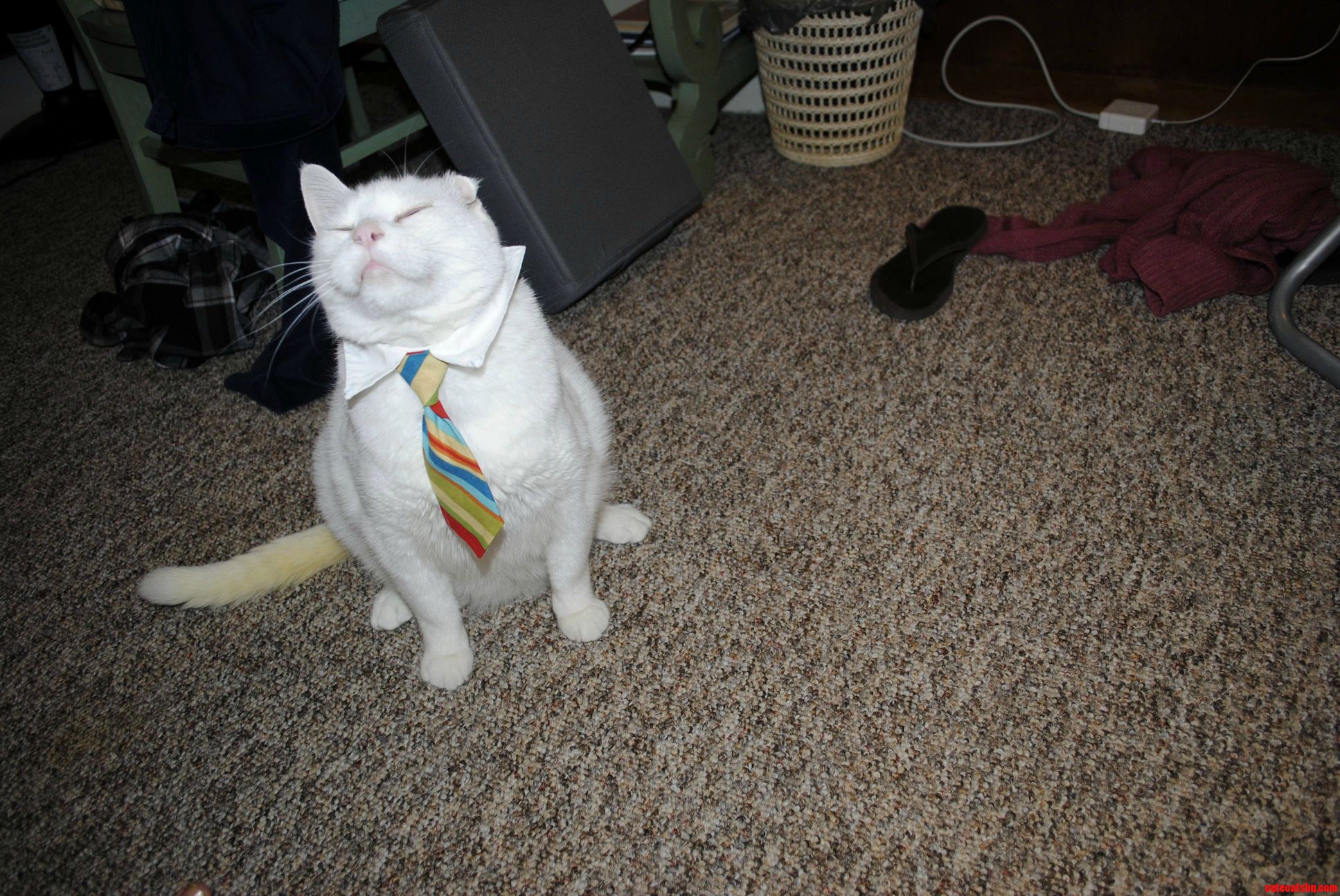 Employee of the Month