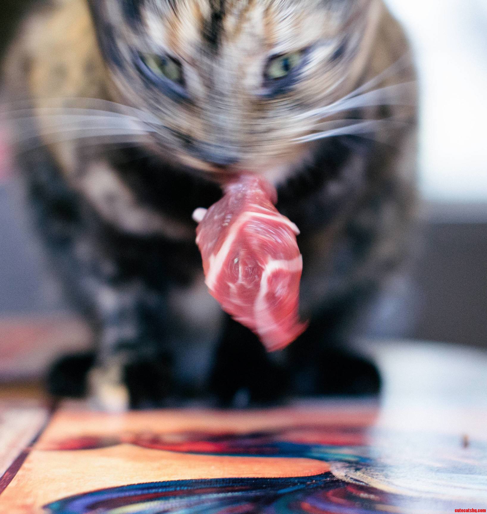 Enjoy a Piece of Beef She Liberated from the Kitchen