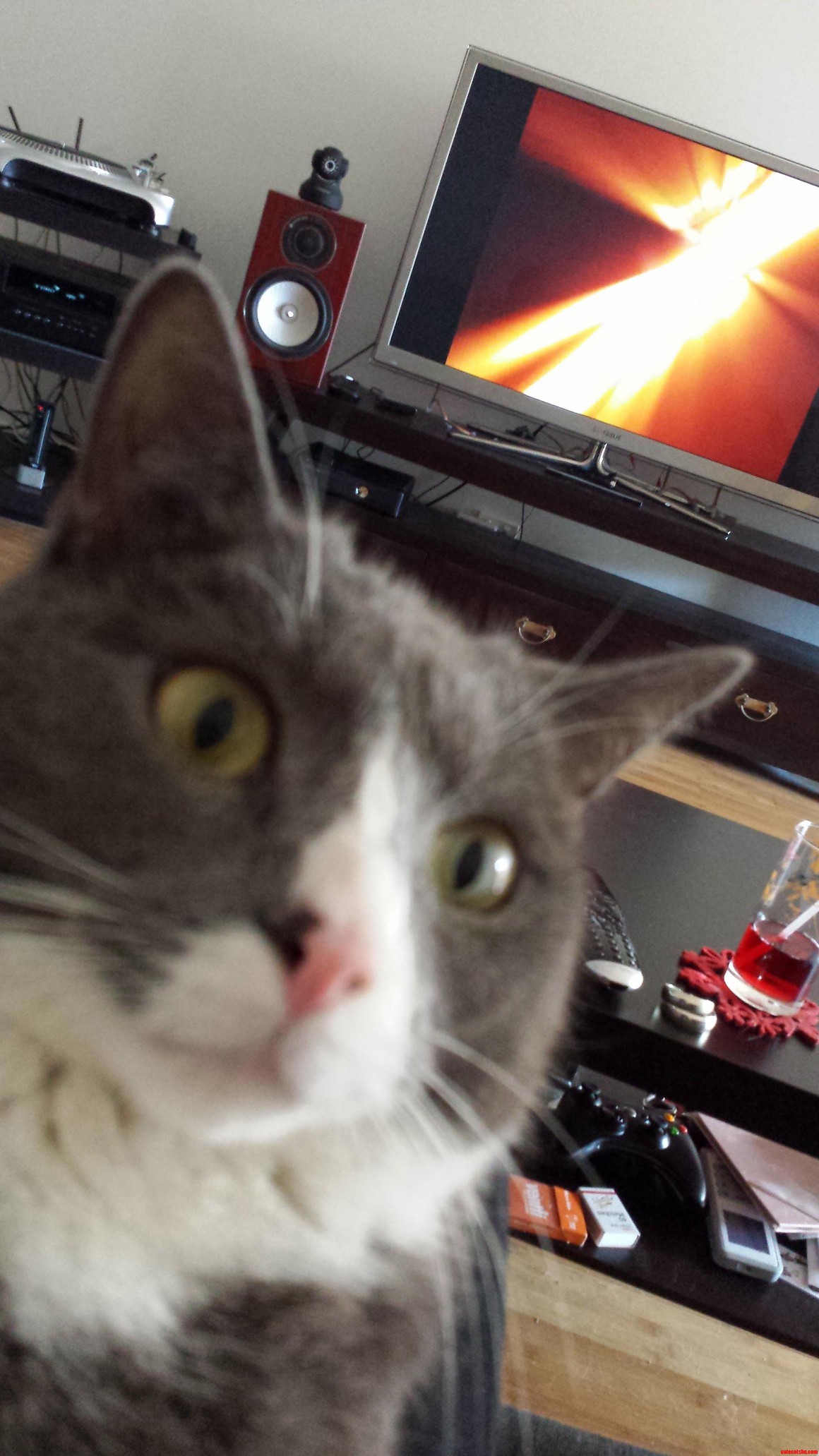 Enokis Face When the Hail and Thunder Started.