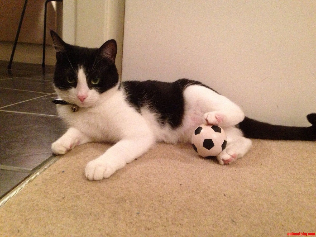 Eric Cattona