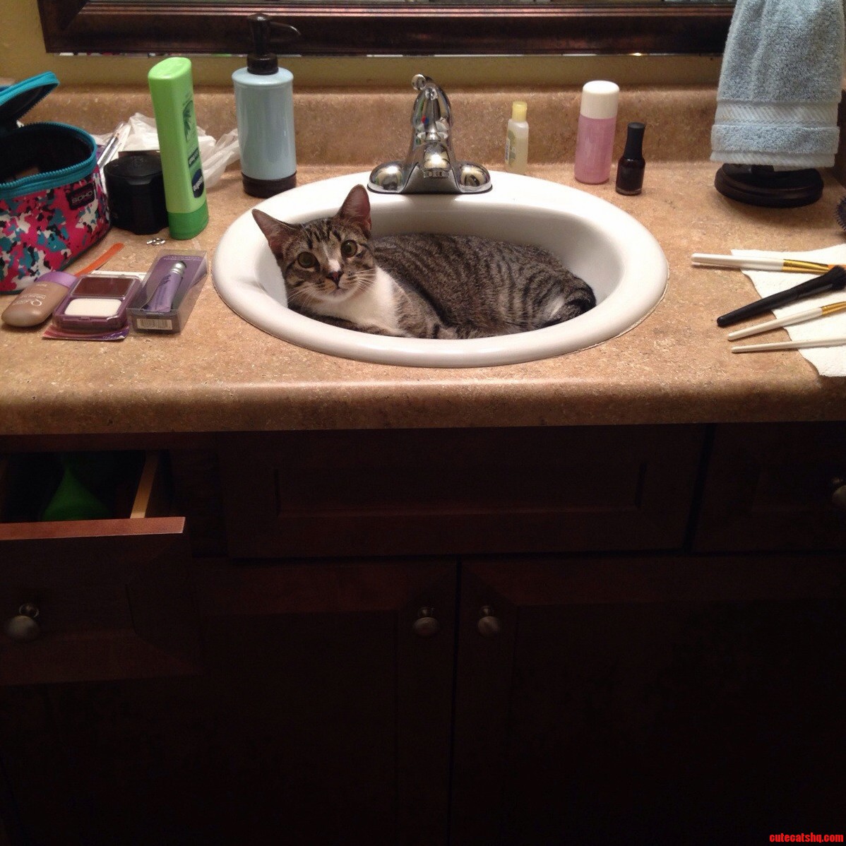 Even When I Turn the Water on He Still Refuses to Move.