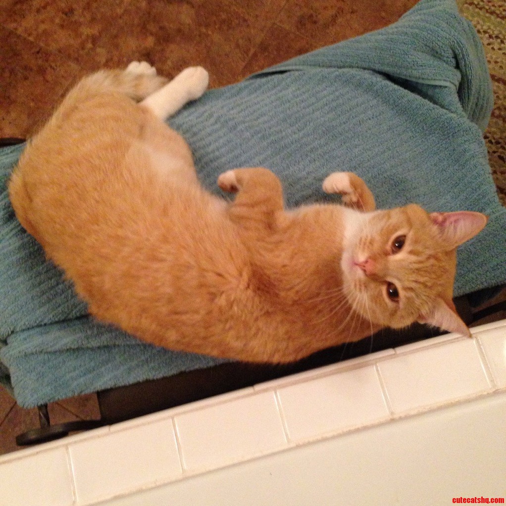 Every Time I Take a Bath... I Have to Wait Until My Towel Is No Longer Being Used.