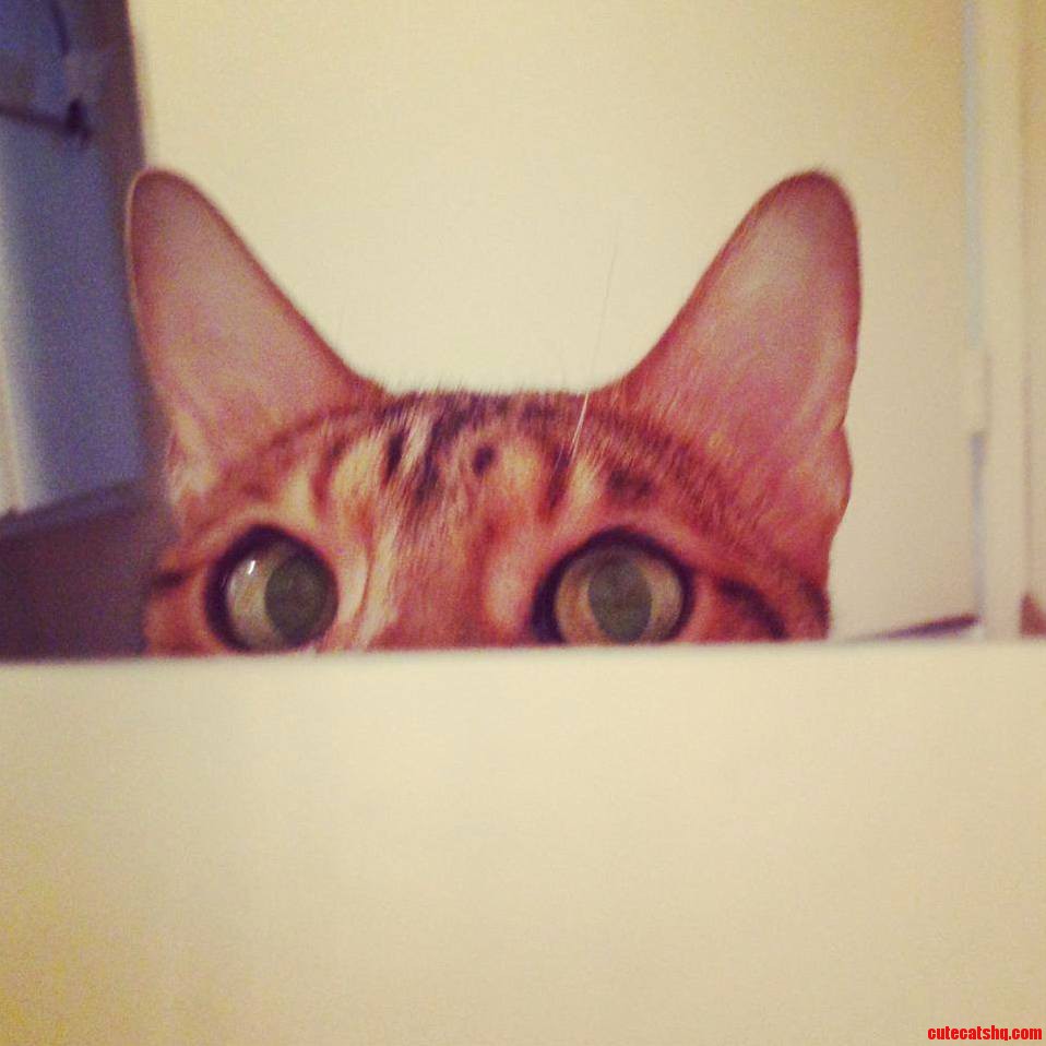 Every Time I Take a Bath...