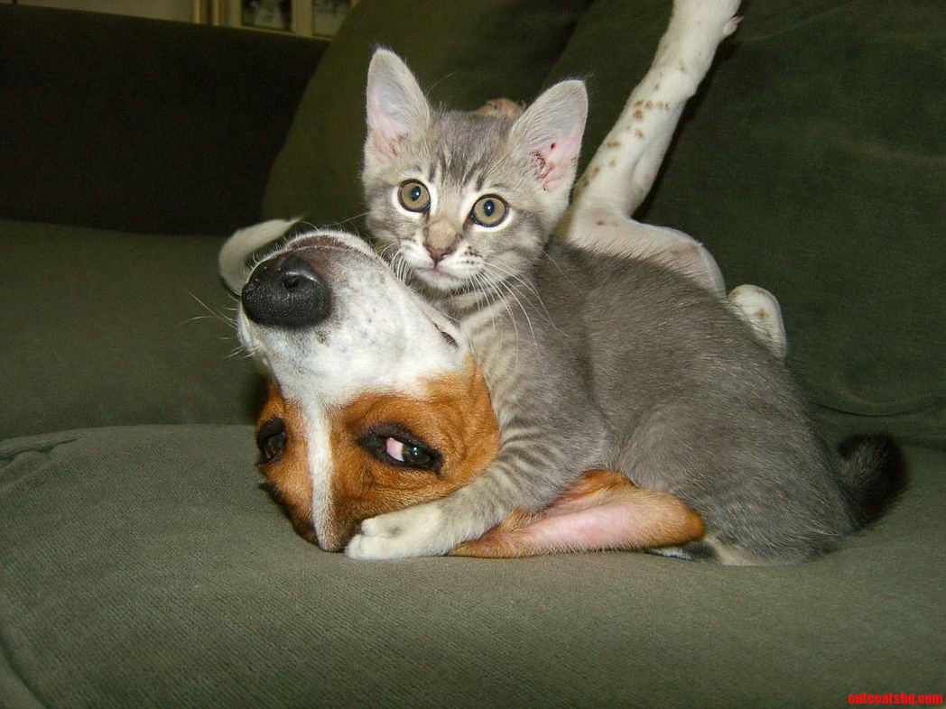 Everything Under Control