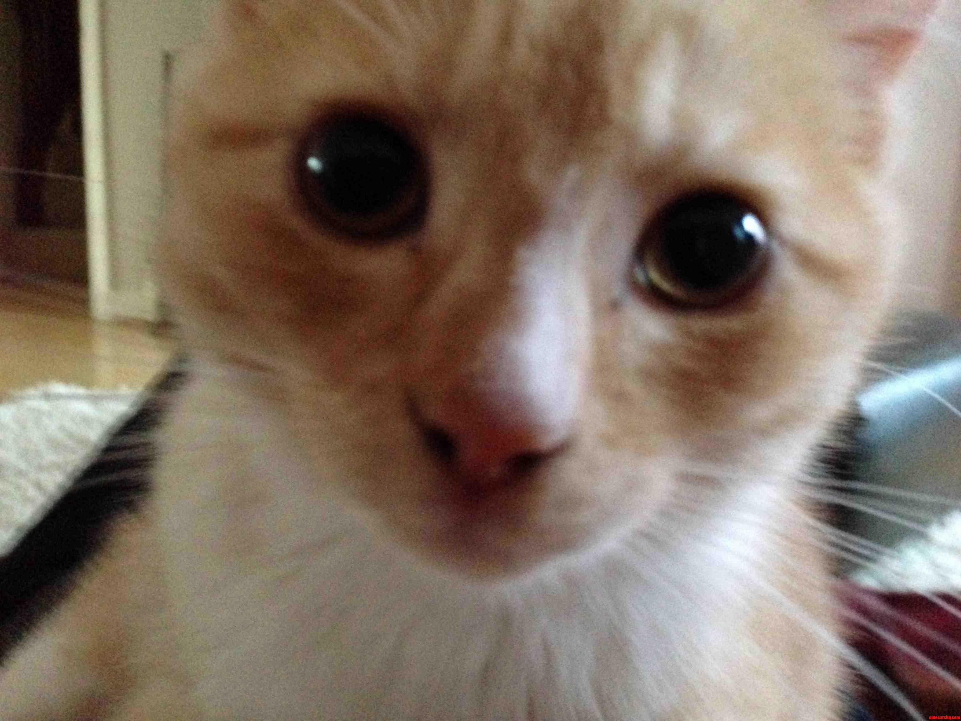 Extreme Close Up