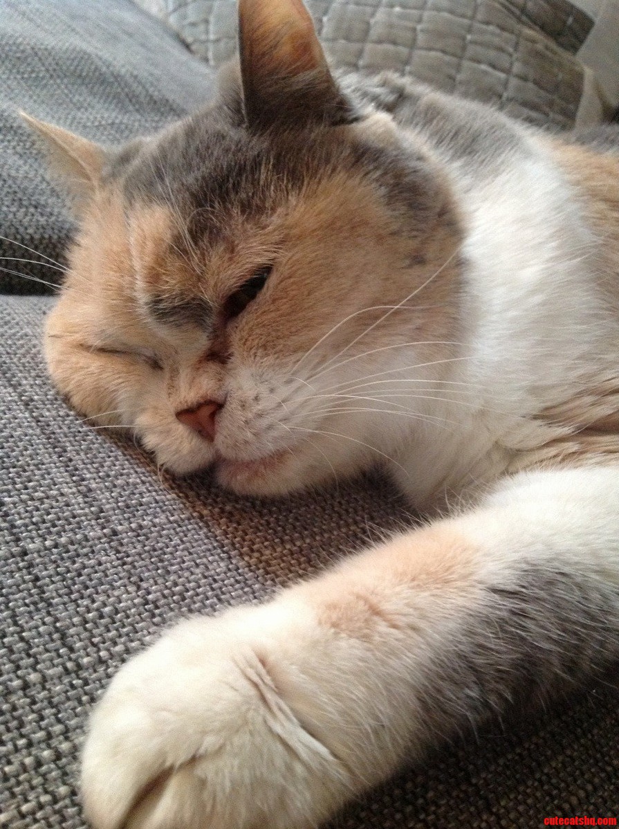 Fat Face While Laying Down Right Eye Shut