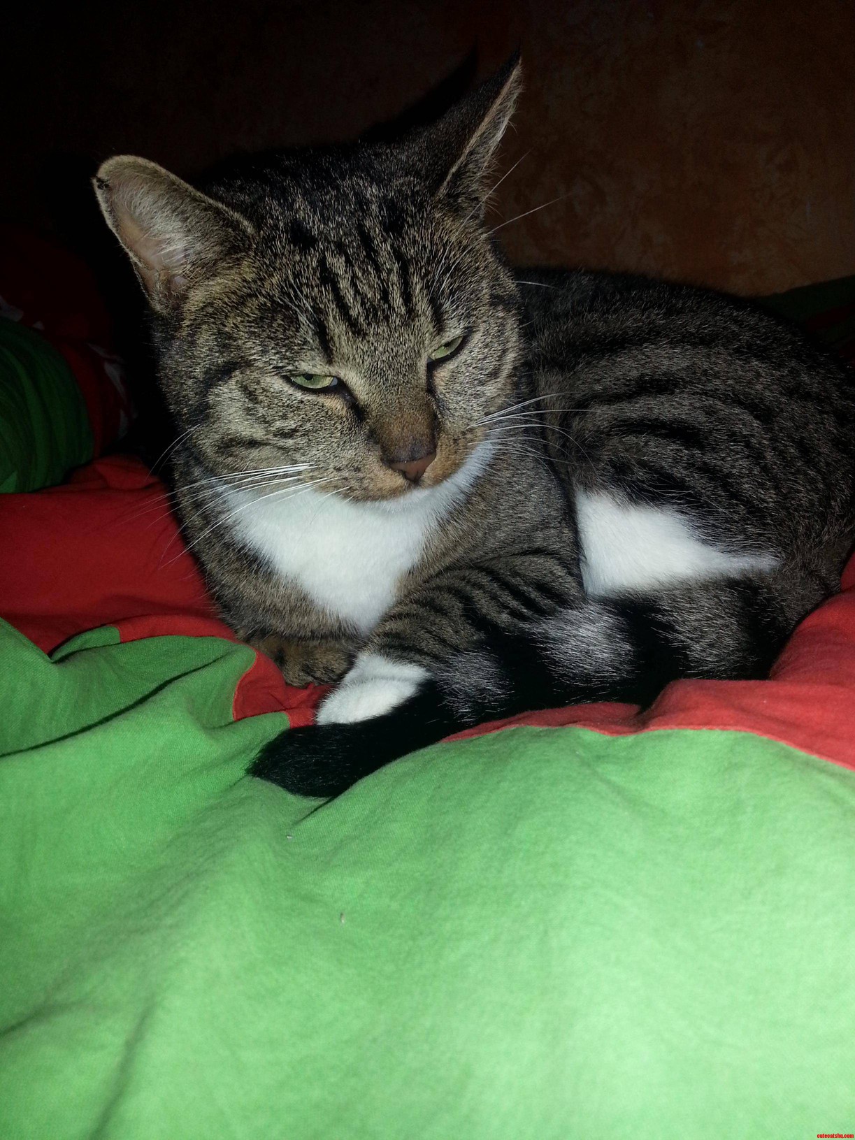 Found Her Like This on My Bed