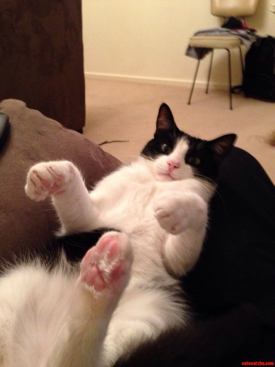 Franks Lazy Sunday Night