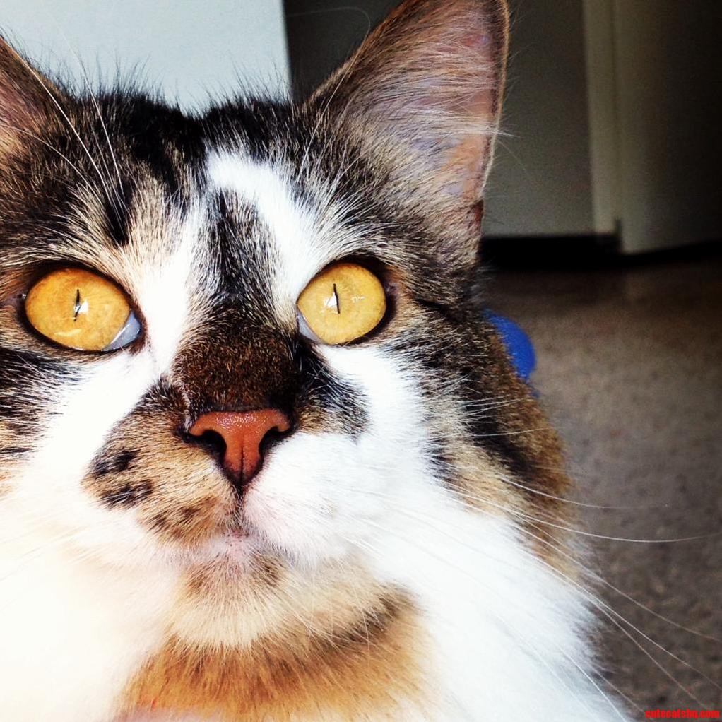 Get Lost in Some Eyes