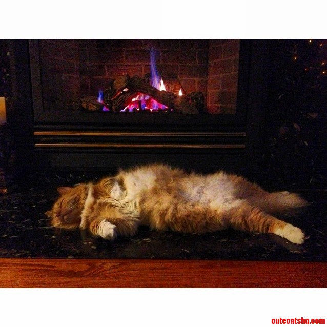 Getting in the Holiday Spirit