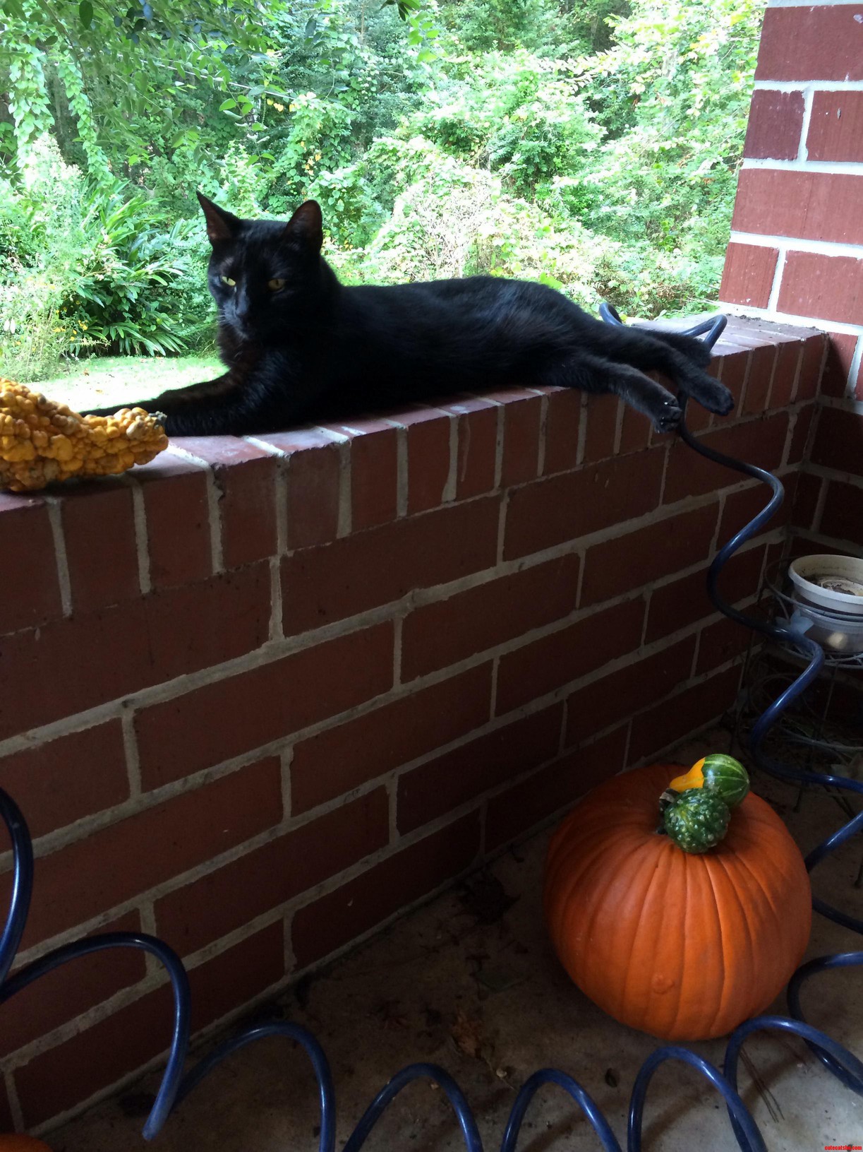 Getting Some of My Halloween Props Ready