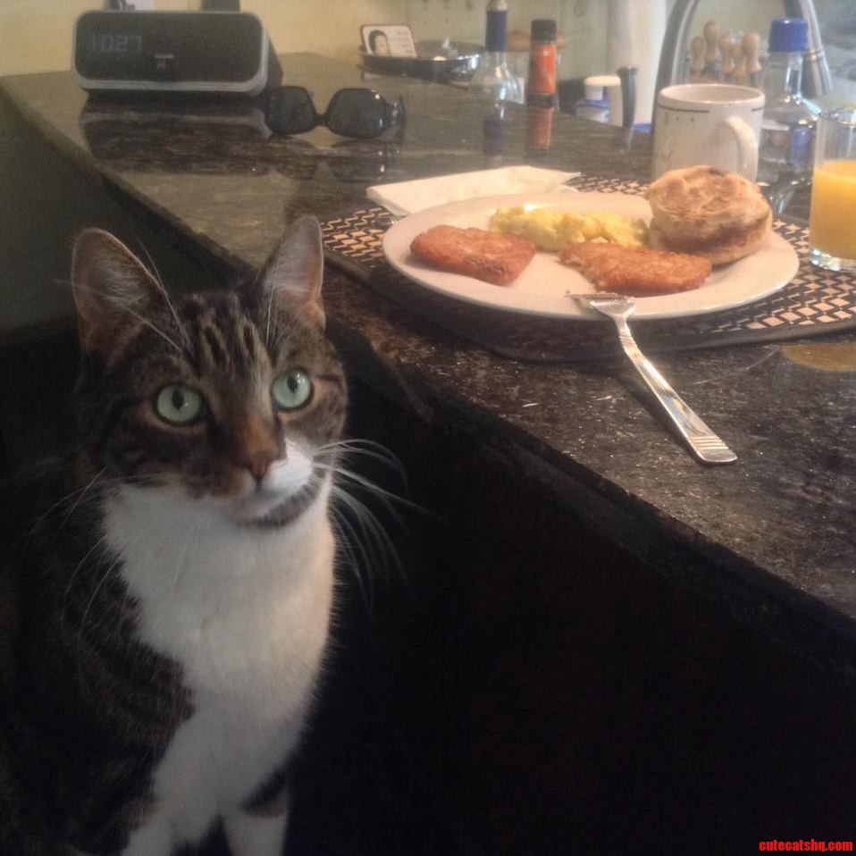 Goober Is a Big Fan of Sunday Breakfast
