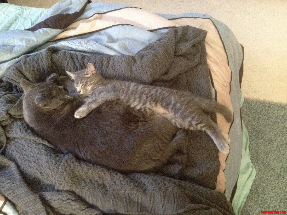 Gus and Frank