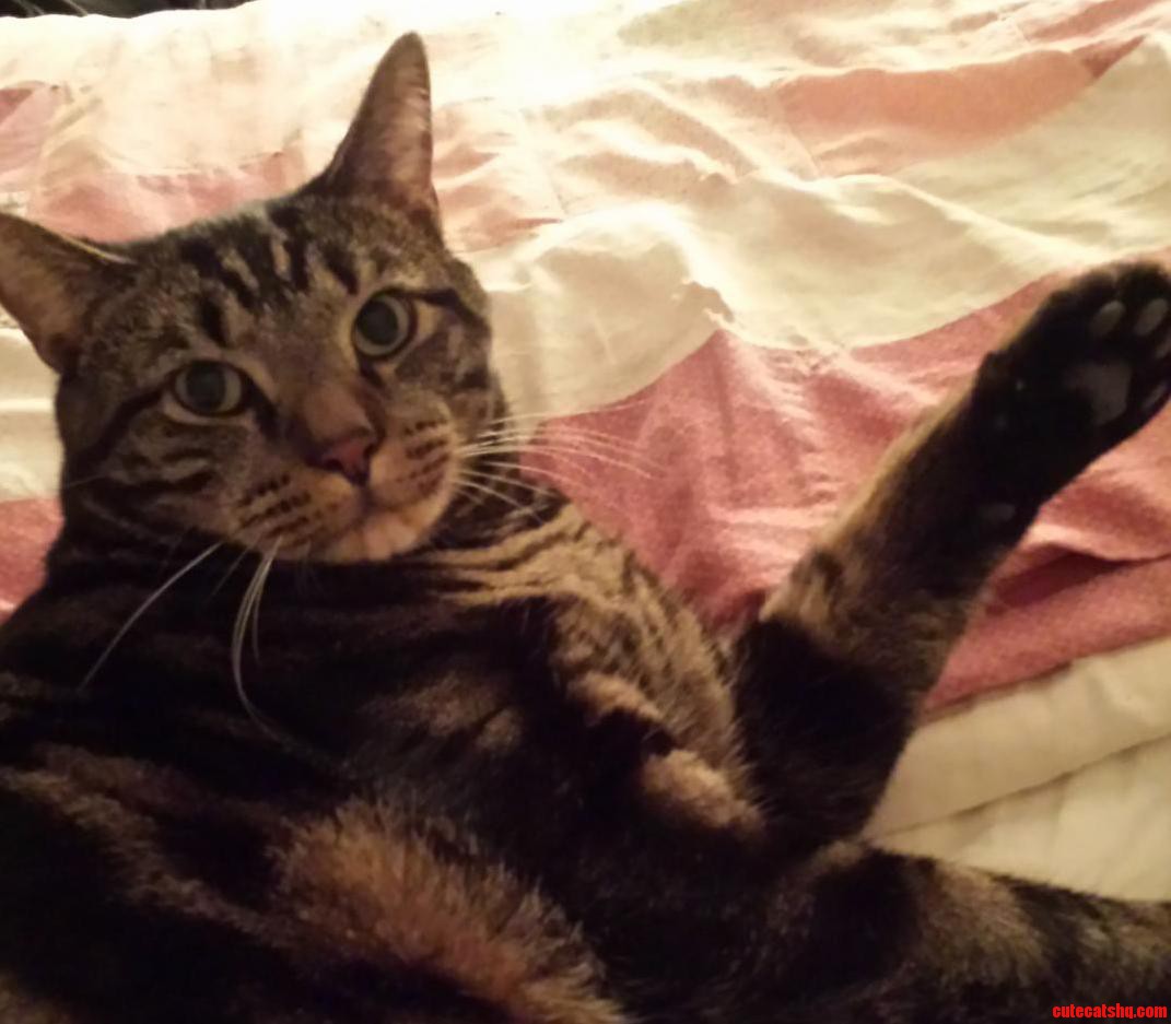 Hai