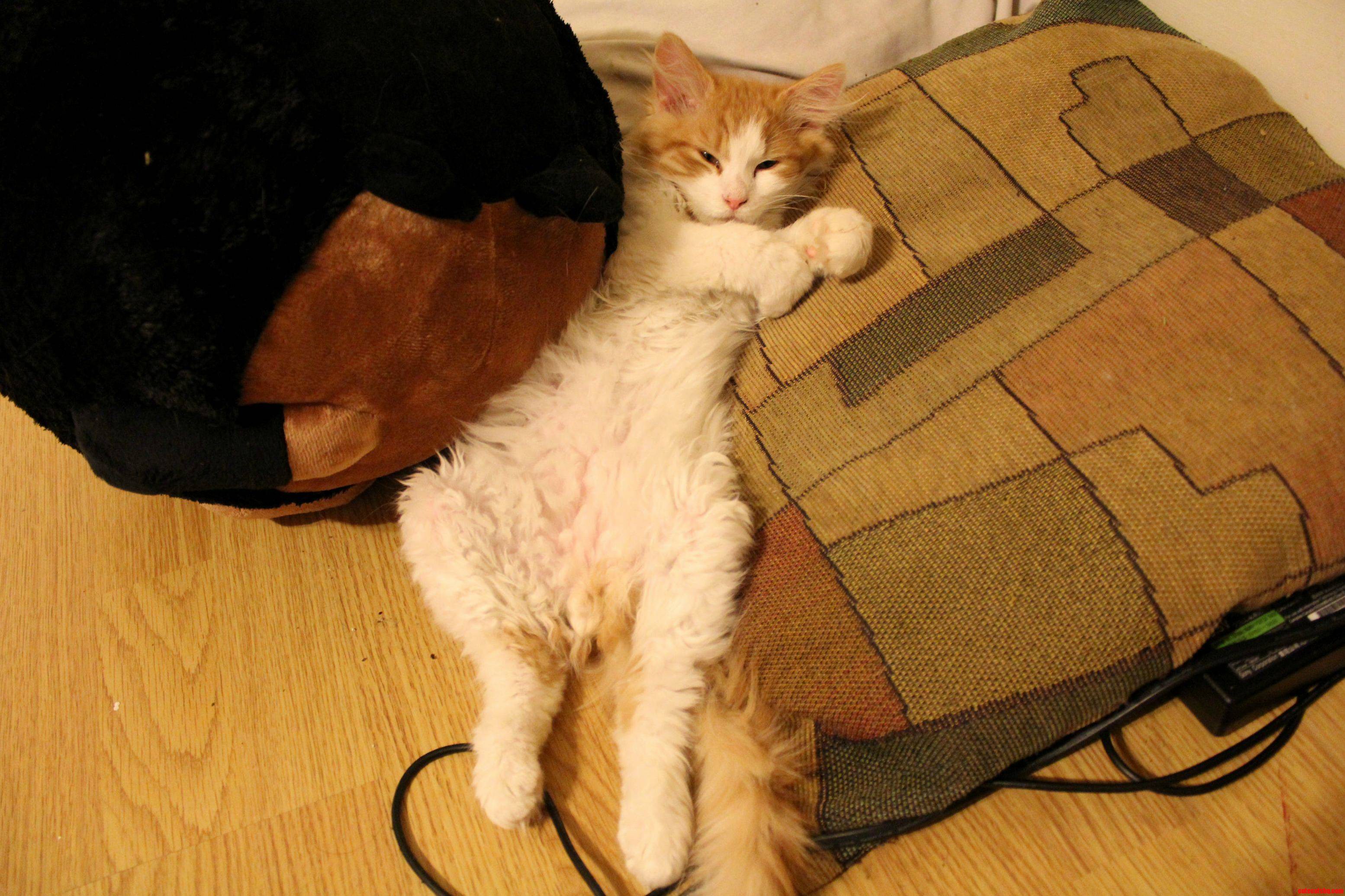 Han Solo Is Lazy