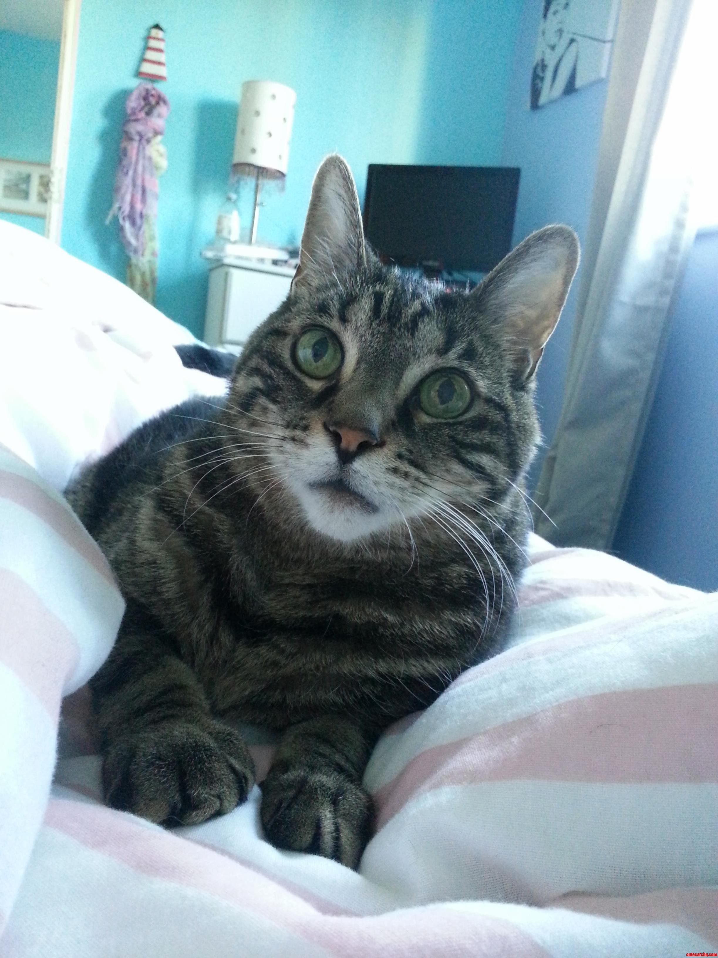 Handsomest Guy