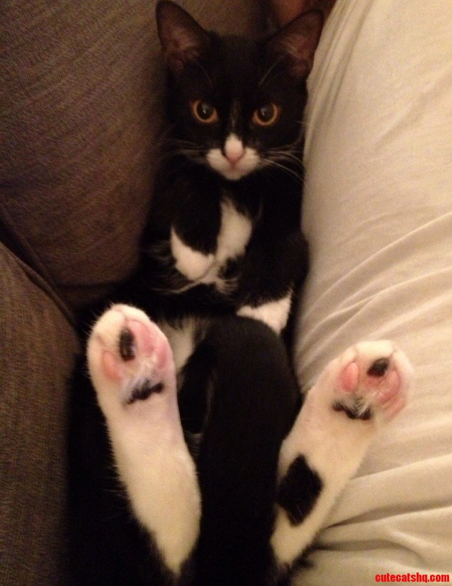 Have a Seat. We Should Talk