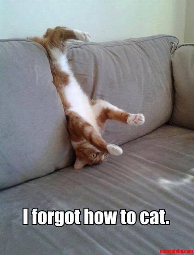 Have You Tried Turning It Off and on Again