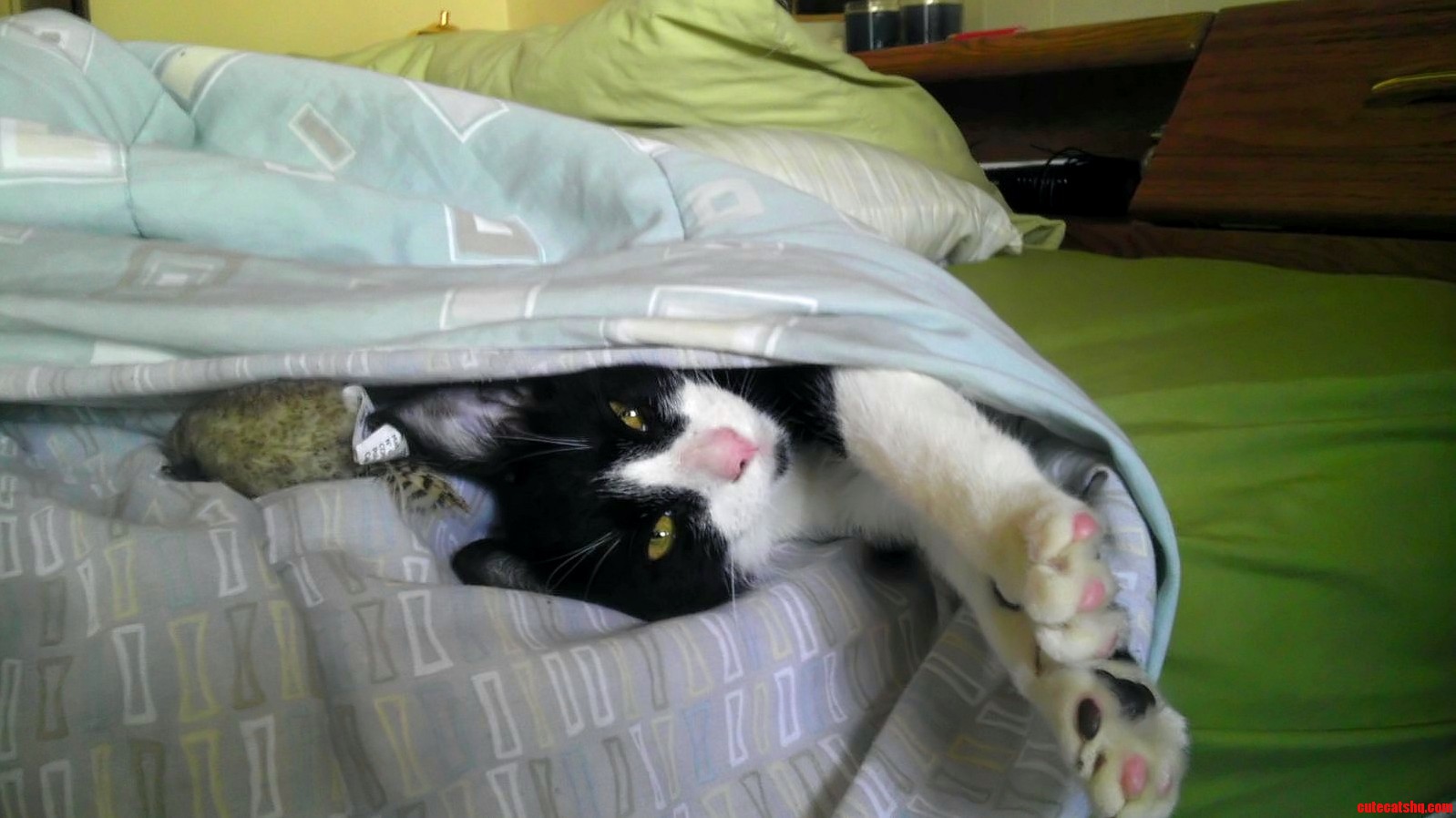 He Decided to Tuck Himself in After I Was Done Getting Ready for Work This Morning